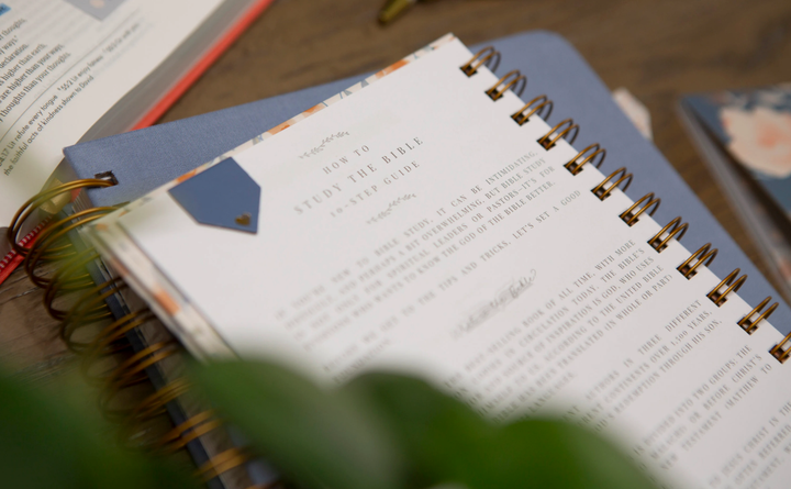 Verse Study Journal- Peach
